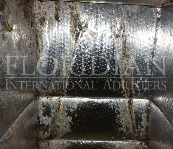 Duct Work Mold
